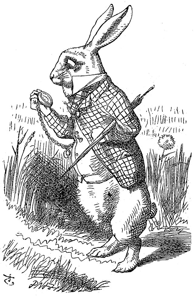 the White rabbit